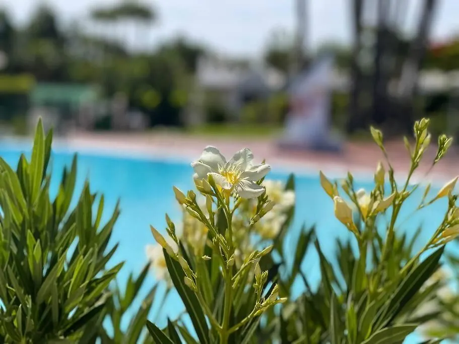 Cozy & Modern Bungalow W/Private Garden Bbq+Wifi Maspalomas  Spain